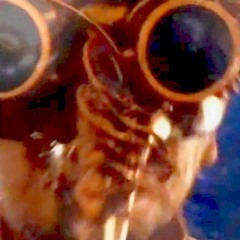 BÜRZELN - SDA/Sims Deep Art