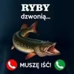re:kometa