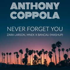 Never Forget You (Anthony Coppola Mash-Up)