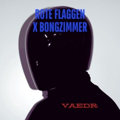 Rote Flaggen x Bongzimmer [VIRAL TIKTOK REMIX]