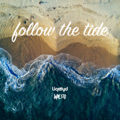 LiQWYD & Waesto - Follow the tide (Free download)