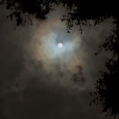 moonlite