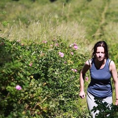 DZIKIE RÓŻE (soundtrack)