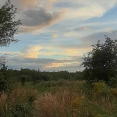 Clouds
