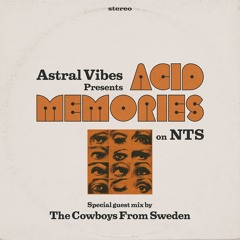 Acid Memories w/ The Cowboy From Sweden 300725