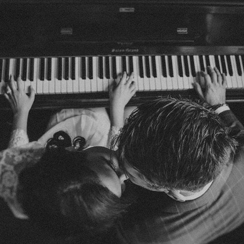 شيخلص الملامة اللوم شيفيد ..