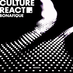 Culture React