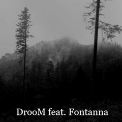 DrooM Feat. Fontanna - Biedronki