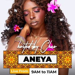 Aneya Part II Live Sessions