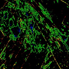 [08]  A K Y H I M A   -  //Ethxn Sykes//