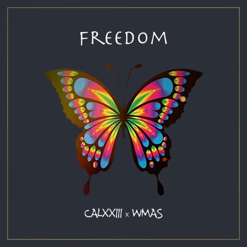 CALXXIII x WMAS - Freedom (Preview)