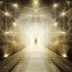 THE EVOLUTION OF FEELING