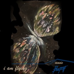 I am flying
