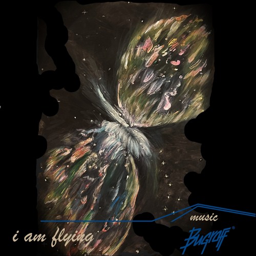 I am flying