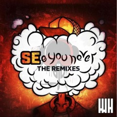 SEe you never (DJV Remix)