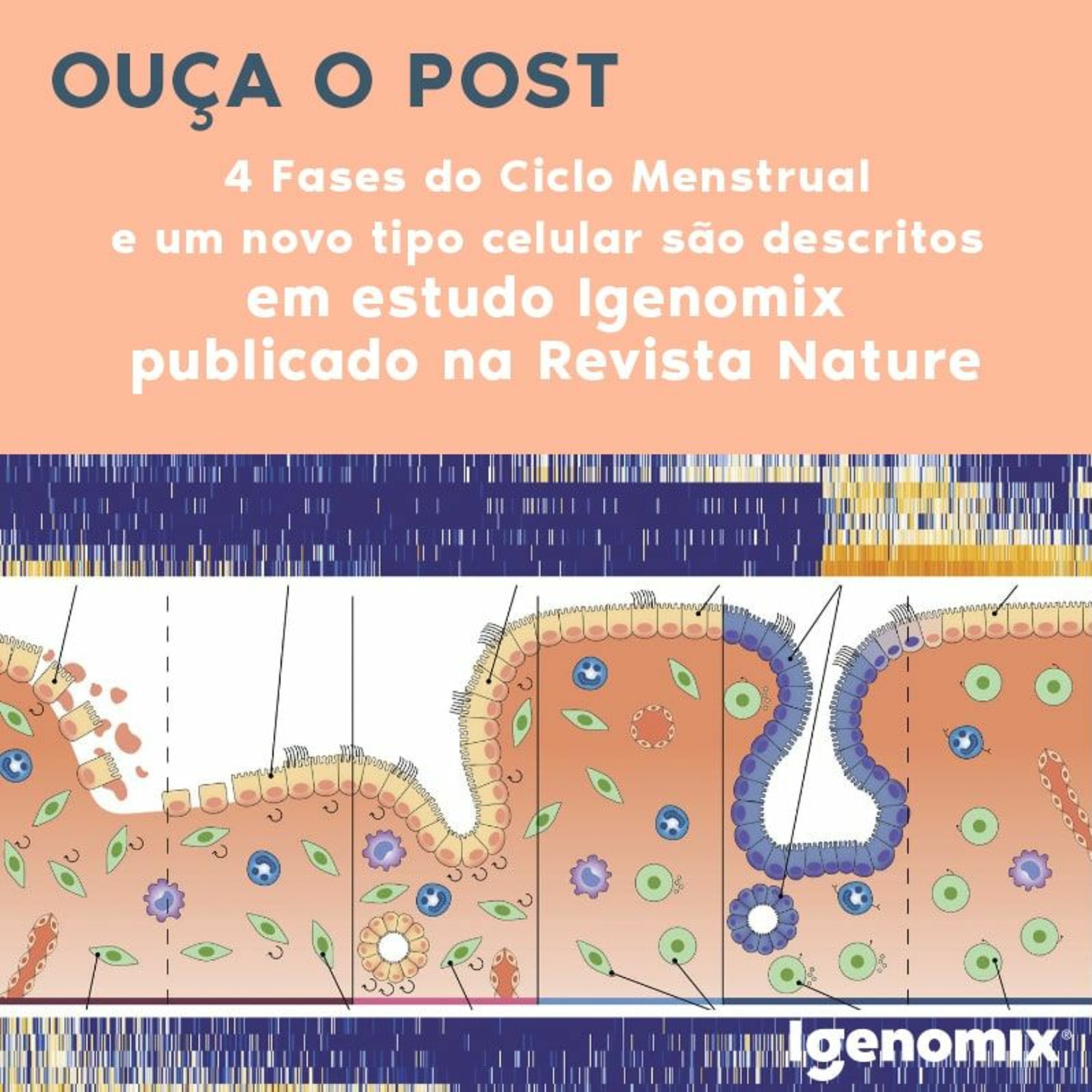 Igenomix Brasil