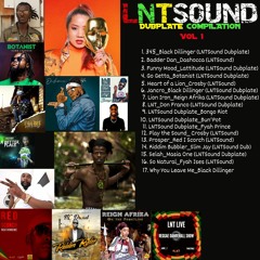 LNTSound Dubplate Compilation (Vol 1)