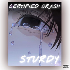 Certified Crash - Sturdy