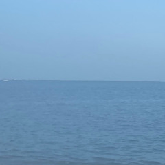 Diver
