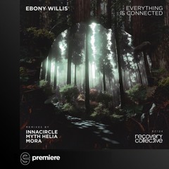 Premiere: Ebony Willis - Everything Is Connected - Recovery Collective