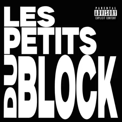 S-TEE FEAT FLOKI - LES PETITS DU BLOCK (PROD.BRICKSY & 3G X TAY20K)