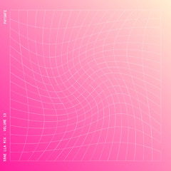 Srae Lla Mix - Volume 13 - PaySafe (LIVE)