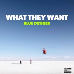 What They Want - Blu DeTiger