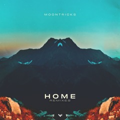 Home (The Human Experience Remix)