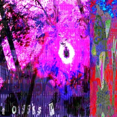 NOISE