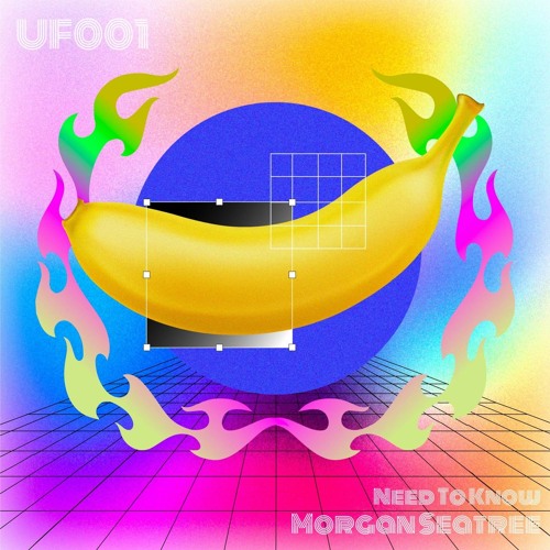 Morgan Seatree - Need To Know (UF001)