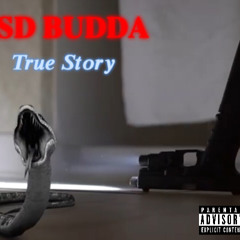 TsdBudda - True Story