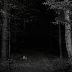 Armen Miran & Felix Raphael - Ghost (Original Mix)