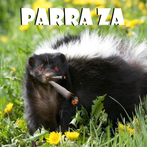 Parra Za (prod.LONELY9/nana)