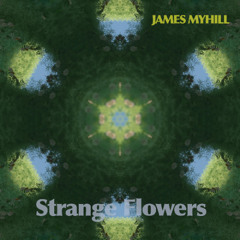 Strange Flowers