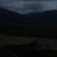 Stargirl Interlude -