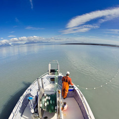 Amigo Mar