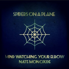 Mind Watching Your Elbow X Nate Monoxide ~ Spiders on a Plane(Mahan 💀 Mahan Remix)