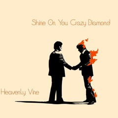 Shine On You Crazy Diamond (Pink Floyd Cover)