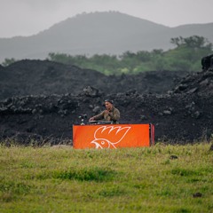 Festival Virtual Gallo 2021