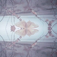 music25