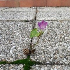 LElfo - Denti Macchiati ft Madman (prod. Funkyman) - Extended Version.