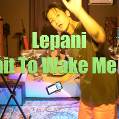 Wait To Wake Me Up - Lepani