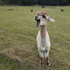 Session1 Tekno Brasil 01 REC-2025-06-05