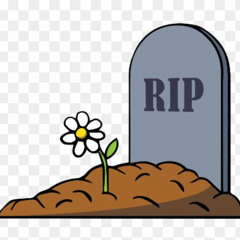 who hurt me freestyle