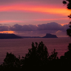 Before the Day Knows It's Started