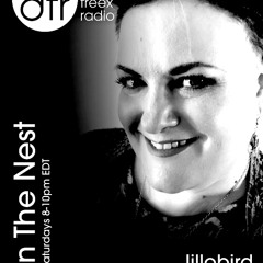 DFR In The Nest 11222025 Downtempo