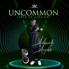 Uncommon (Speed Up Version)