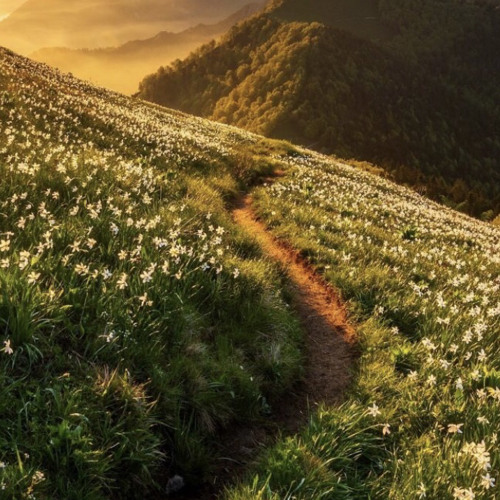 From My Spirit Within Flows a Fountain of Life