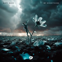 Matt Baer - My Everything