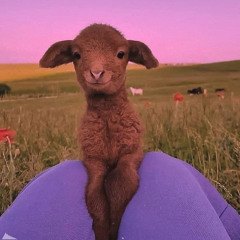 Piri & Tommy - On & On(Slowed+Reverb)